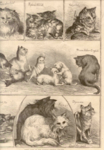 Abyssinian Cat Painting appearing in Harper's Gazette 1871